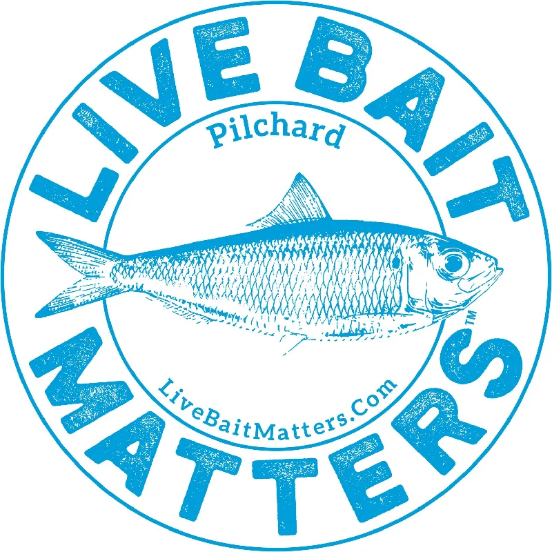 Fishing line thin steady-Live Bait Matters - Pilchard 5" Round Sticker