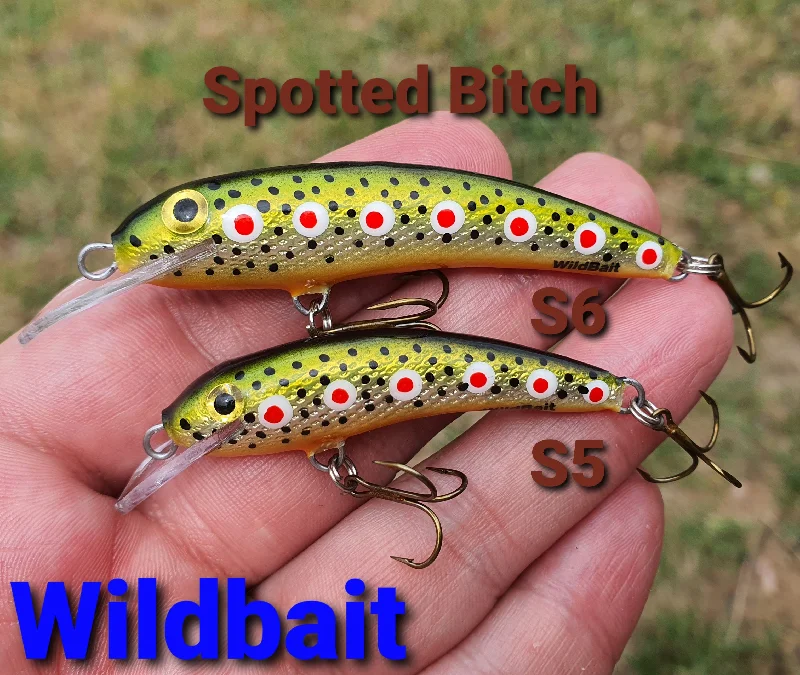 Fishing reel high steady-WildBait STALKERS