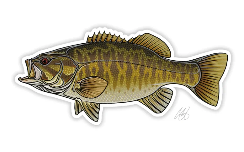 Fishing rod pier balance-Casey Underwood Smallmouth Bass Decal