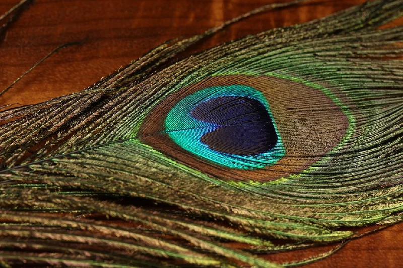 Fishing tackle side firm-UV2 Peacock Eyes Natural 2 Per Bag