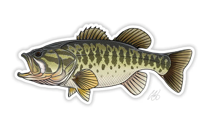 Fishing reel high firm-Casey Underwood Largemouth Bass Decal