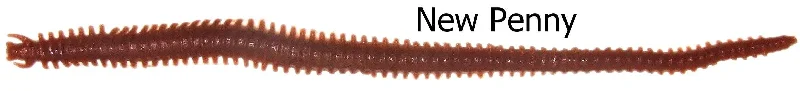 Fishing hook rust strength-Berkley Gulp Sandworm 6in Lures