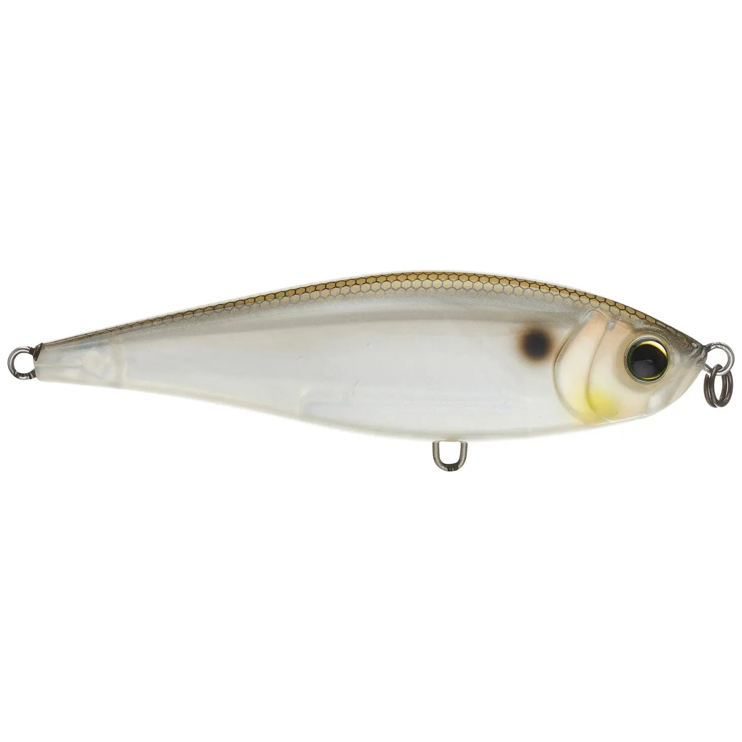 Ghost Gizzard Shad