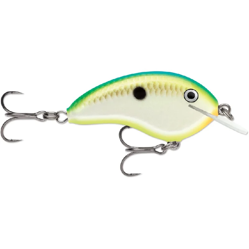 Citrus Shad